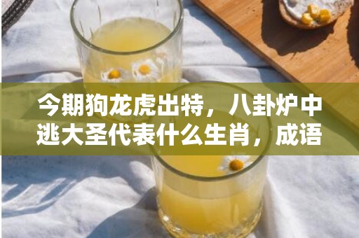 今期狗龙虎出特，八卦炉中逃大圣代表什么生肖，成语解释落实插图