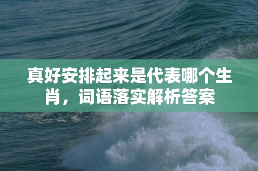 真好安排起来是代表哪个生肖，词语落实解析答案