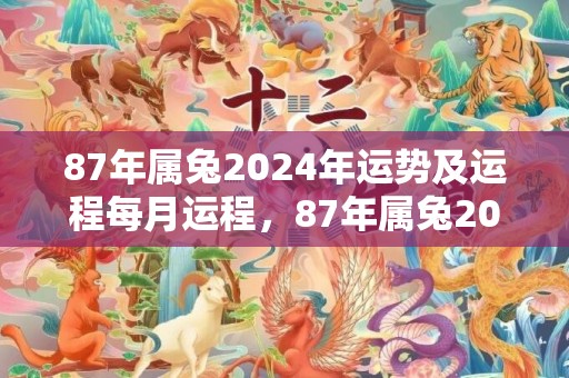 87年属兔2024年运势及运程每月运程，87年属兔2024年下半年财运