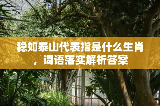 稳如泰山代表指是什么生肖，词语落实解析答案