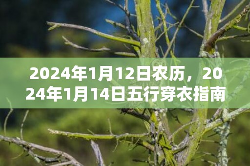 2024年1月12日农历，2024年1月14日五行穿衣指南