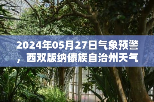 2024年05月27日气象预警，西双版纳傣族自治州天气预报 大部小雨