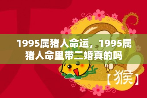 1995属猪人命运，1995属猪人命里带二婚真的吗