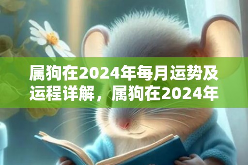 属狗在2024年每月运势及运程详解，属狗在2024年哪个月份机遇最多