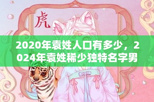 2020年袁姓人口有多少，2024年袁姓稀少独特名字男孩