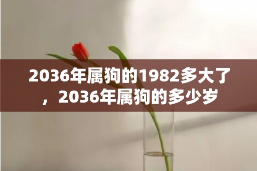 2036年属狗的1982多大了，2036年属狗的多少岁