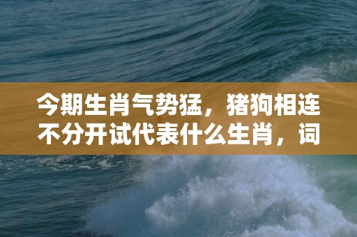 今期生肖气势猛，猪狗相连不分开试代表什么生肖，词语释义落实解释