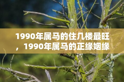 1990年属马的住几楼最旺，1990年属马的正缘姻缘在哪年