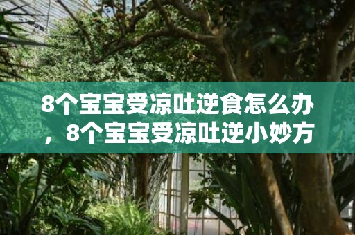 8个宝宝受凉吐逆食怎么办，8个宝宝受凉吐逆小妙方有什么