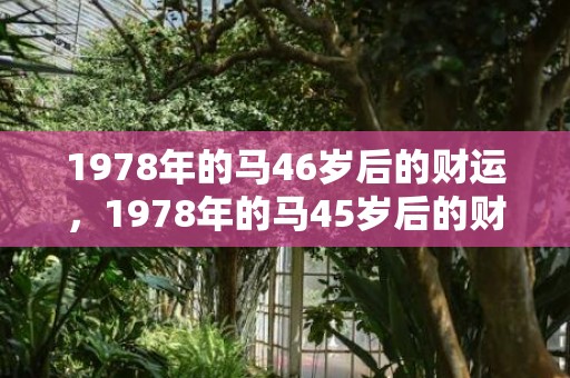 1978年的马46岁后的财运，1978年的马45岁后的财运