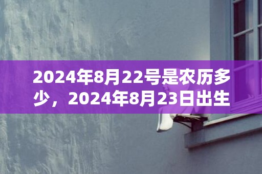 2024年8月22号是农历多少，2024年8月23日出生的人生平运势怎么样男娃