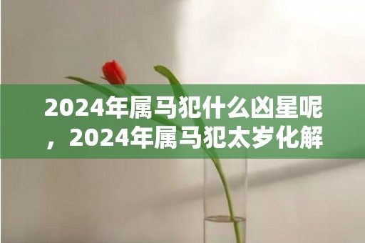 2024年属马犯什么凶星呢，2024年属马犯太岁化解方法