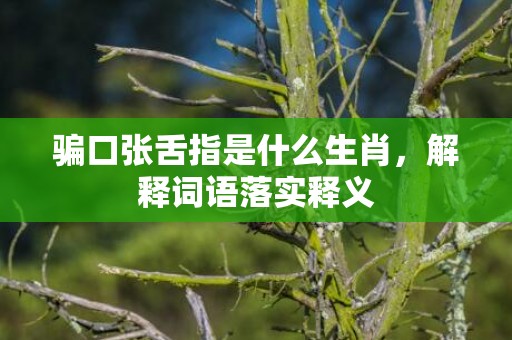 骗口张舌指是什么生肖，解释词语落实释义插图