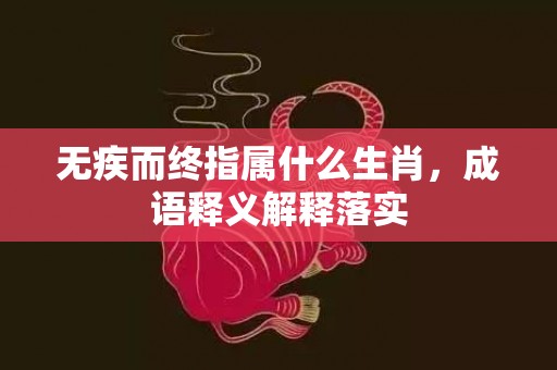 无疾而终指属什么生肖，成语释义解释落实插图