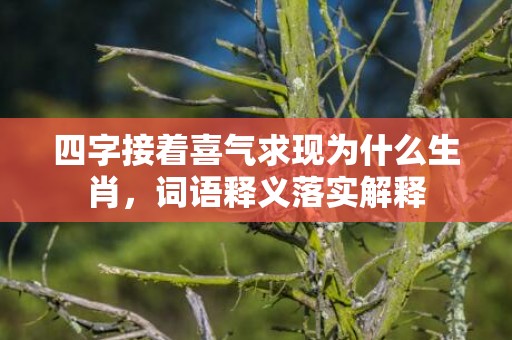 四字接着喜气求现为什么生肖，词语释义落实解释