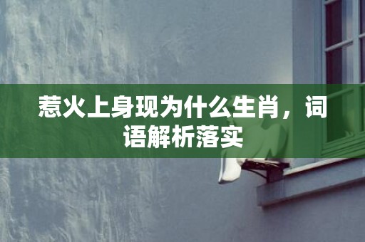 惹火上身现为什么生肖，词语解析落实