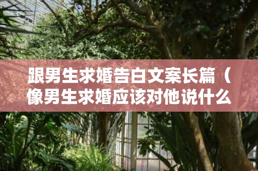 跟男生求婚告白文案长篇（像男生求婚应该对他说什么）