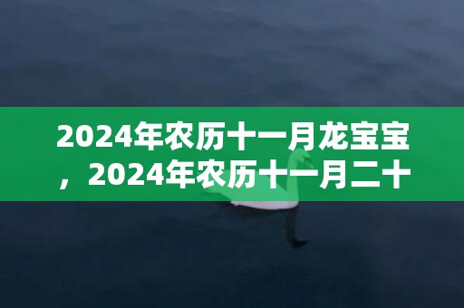 2024年农历十一月龙宝宝，2024年农历十一月二十出生的女孩名字