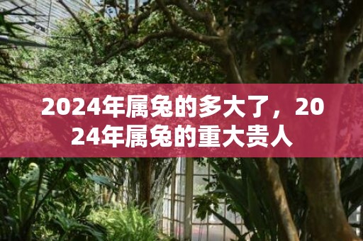 2024年属兔的多大了，2024年属兔的重大贵人