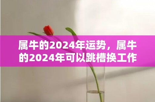 属牛的2024年运势，属牛的2024年可以跳槽换工作吗