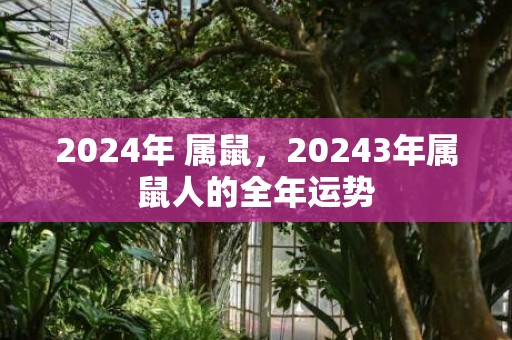 2024年 属鼠，20243年属鼠人的全年运势