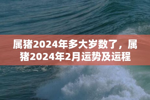 属猪2024年多大岁数了，属猪2024年2月运势及运程