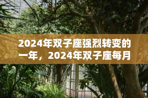 2024年双子座强烈转变的一年，2024年双子座每月运势完整版