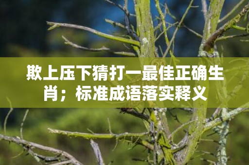 欺上压下猜打一最佳正确生肖；标准成语落实释义