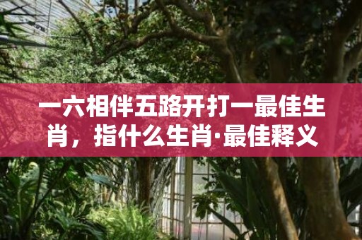 一六相伴五路开打一最佳生肖，指什么生肖·最佳释义成语解释最佳答，标准成语落实释义