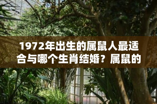 1972年出生的属鼠人最适合与哪个生肖结婚？属鼠的最佳婚配属相是什么？