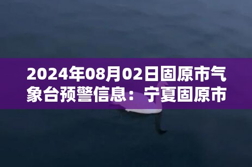 2024年08月02日固原市气象台预警信息：宁夏固原市发布雷电黄色预警