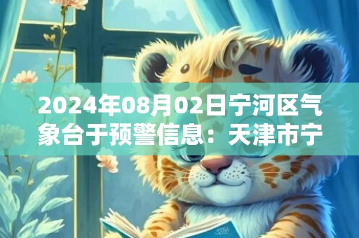 2024年08月02日宁河区气象台于预警信息：天津市宁河区发布冰雹橙色预警