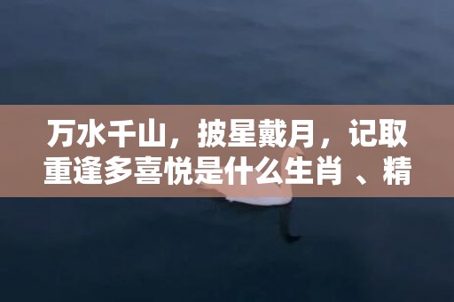 万水千山，披星戴月，记取重逢多喜悦是什么生肖 、精准词语释义落实