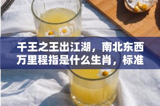 千王之王出江湖，南北东西万里程指是什么生肖，标准成语落实释义