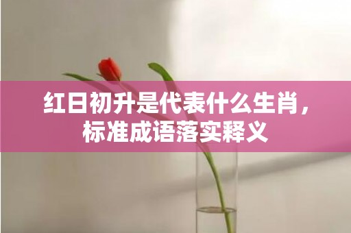 红日初升是代表什么生肖，标准成语落实释义