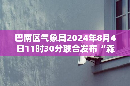 巴南区气象局2024年8月4日11时30分联合发布“森林草原火险橙色预警信号”