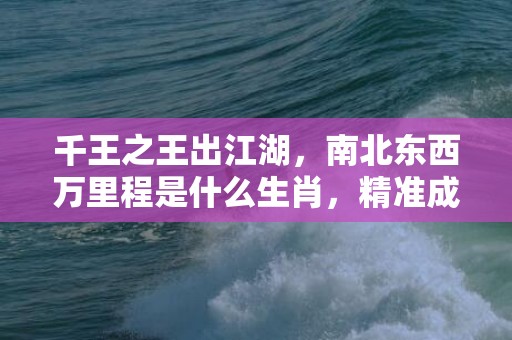 千王之王出江湖，南北东西万里程是什么生肖，精准成语释义落实