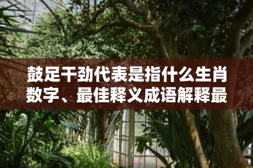 鼓足干劲代表是指什么生肖数字、最佳释义成语解释最佳答