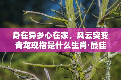 身在异乡心在家，风云突变青龙现指是什么生肖·最佳成语释义解释最佳答