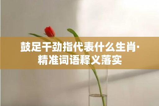 鼓足干劲指代表什么生肖·精准词语释义落实