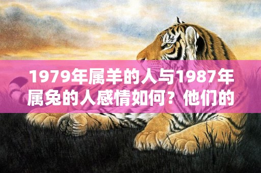 1979年属羊的人与1987年属兔的人感情如何？他们的婚姻相配程度怎样？