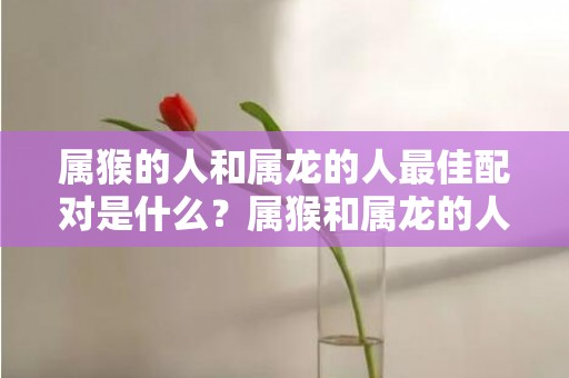 属猴的人和属龙的人最佳配对是什么？属猴和属龙的人是否合得来？