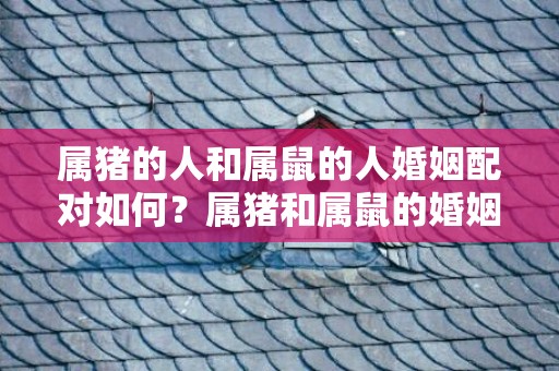 属猪的人和属鼠的人婚姻配对如何？属猪和属鼠的婚姻状况怎样？