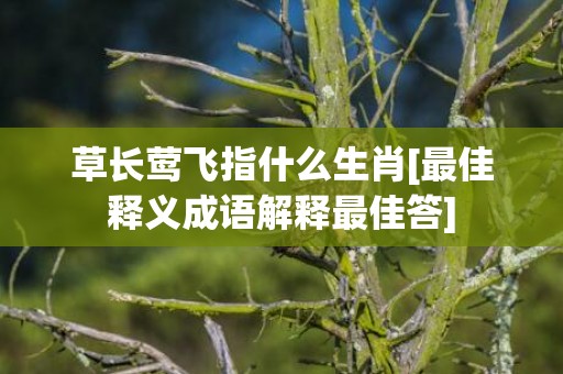 草长莺飞指什么生肖[最佳释义成语解释最佳答]