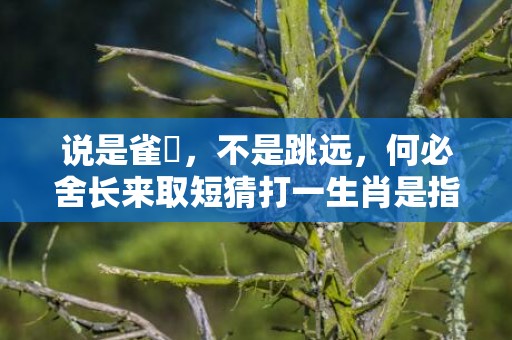 说是雀躍，不是跳远，何必舍长来取短猜打一生肖是指什么生肖、精准词语释义落实