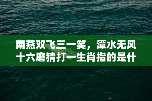 南燕双飞三一笑，潭水无风十六磨猜打一生肖指的是什么生肖、精准词语释义落实