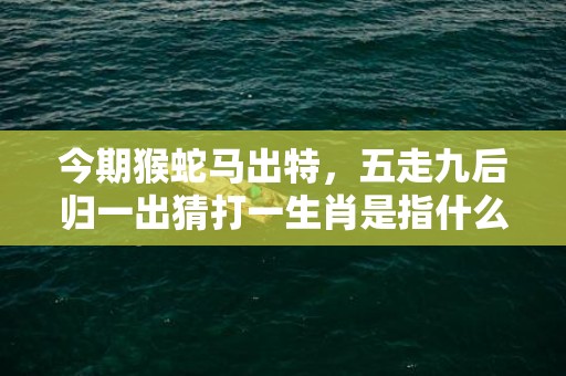 今期猴蛇马出特，五走九后归一出猜打一生肖是指什么生肖·最佳成语解释最佳答