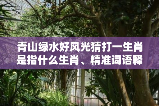 青山绿水好风光猜打一生肖是指什么生肖、精准词语释义落实