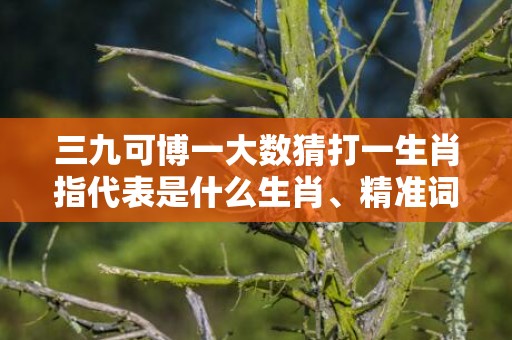 三九可博一大数猜打一生肖指代表是什么生肖、精准词语释义落实