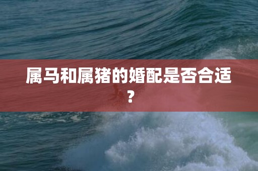 属马和属猪的婚配是否合适？